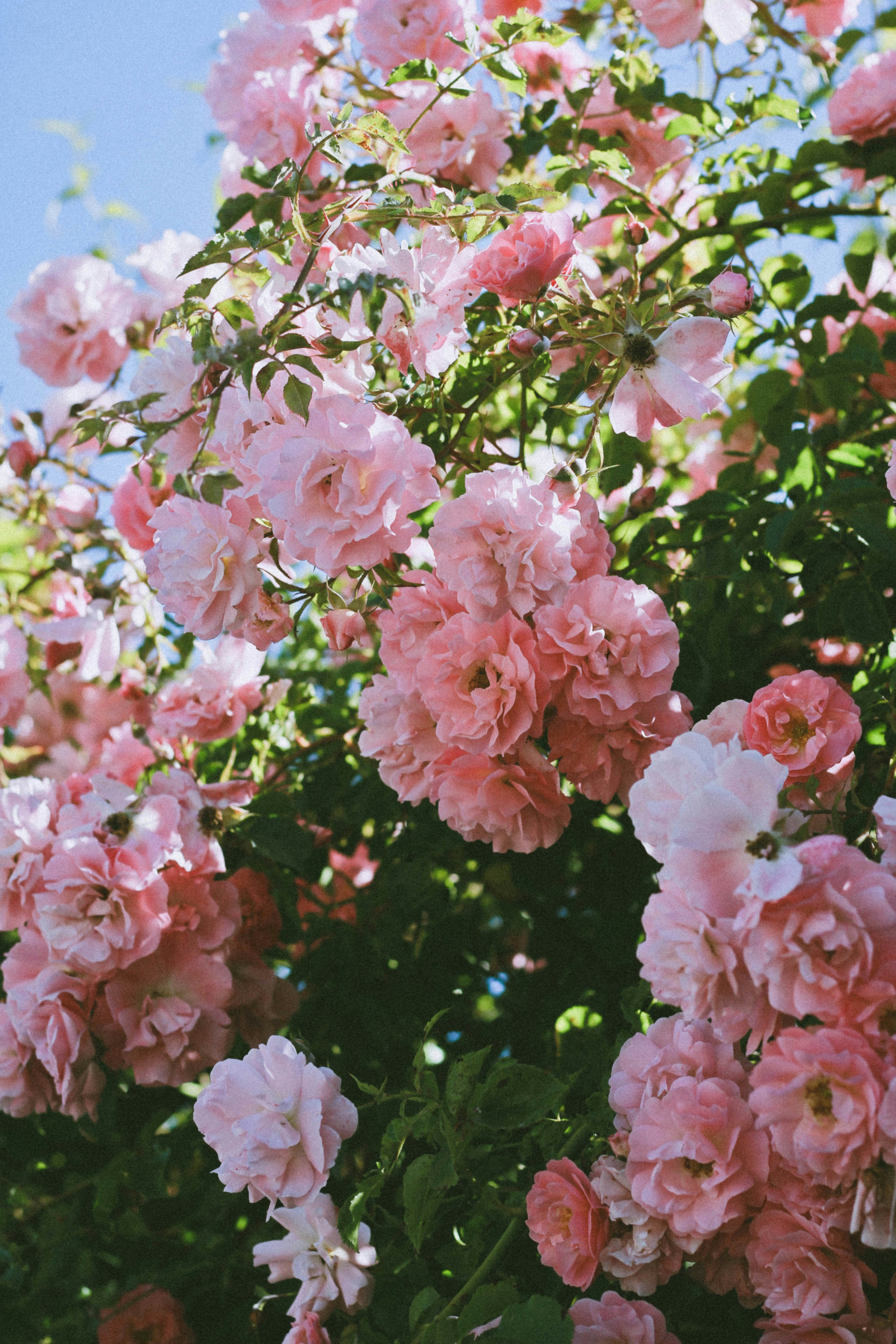 huong-ho-cBe7BxnmmIw